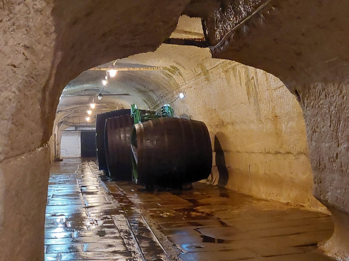 Il fait presque froid dans la cave.