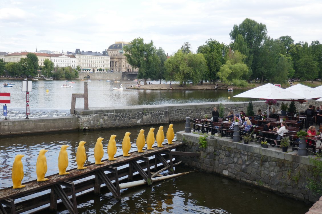Quartier Mala Strana : ses pédalos, ses buvettes au bord de la Vltava.