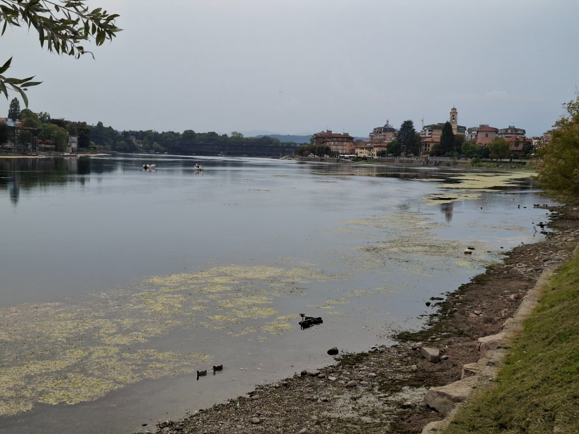 Sesto Calende