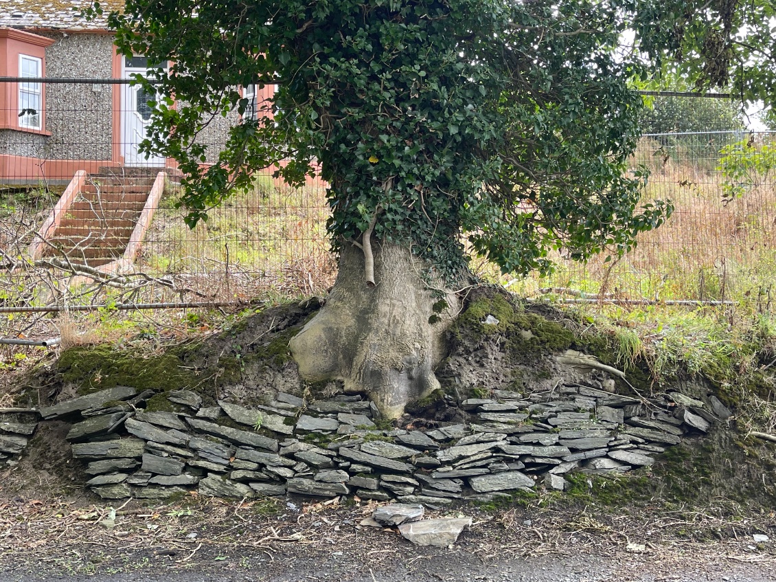 Section 7 : du 7 au 11 août