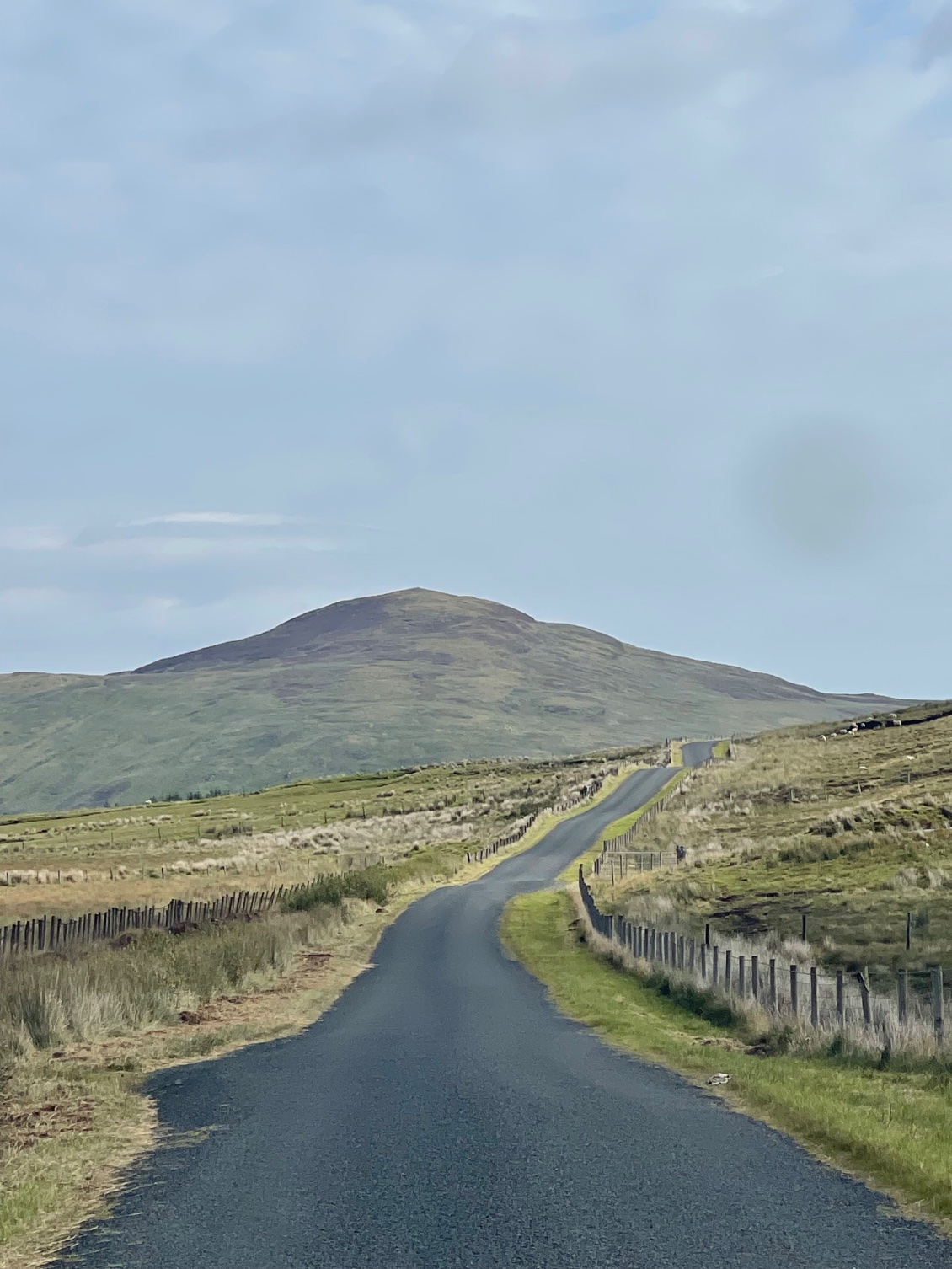 Section 7 : du 7 au 11 août