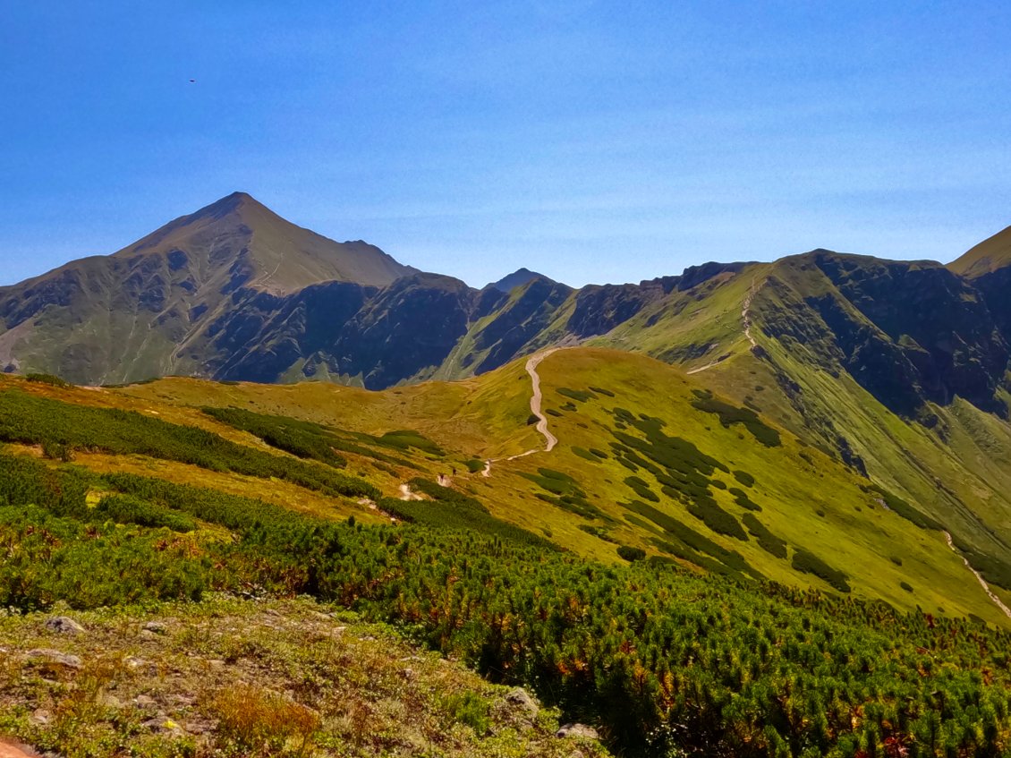 Le Błyszcz se dresse en haut à gauche. Vue depuis les crêtes de l’Ornak.