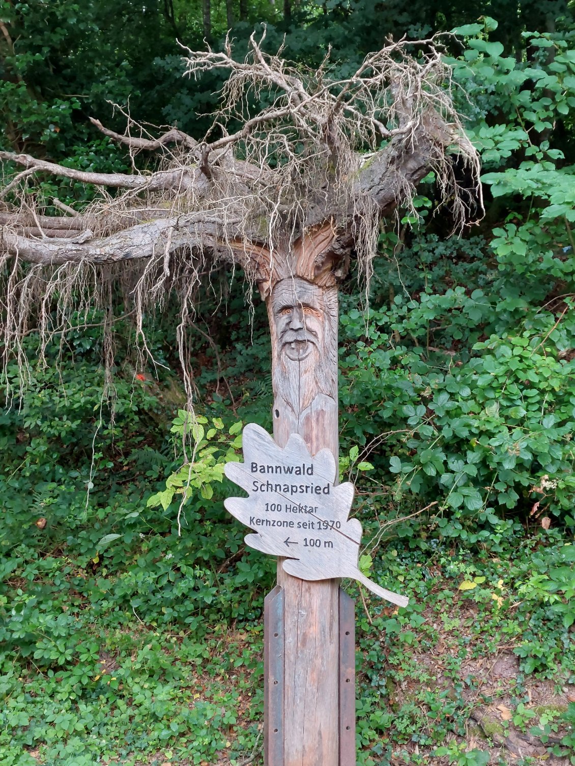 Pancarte originale pour nous signaler que nous entrons dans une zone naturelle protégée.