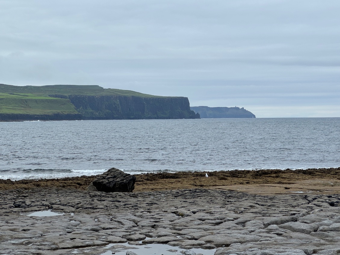 Ce matin on voit bien les falaises jusqu’au Hogs Point.