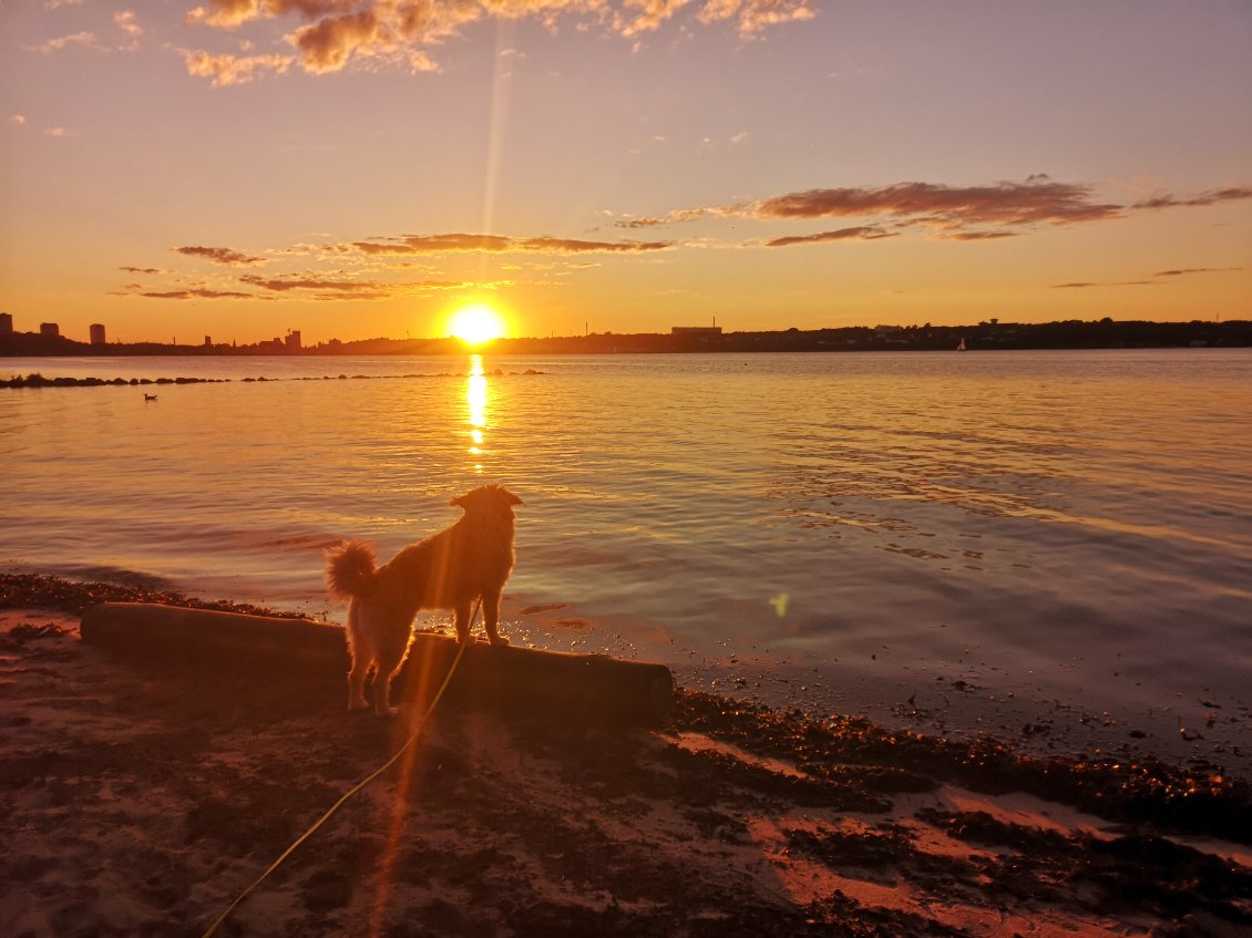 Dernier couché de soleil danois, c'est un au revoir en beauté