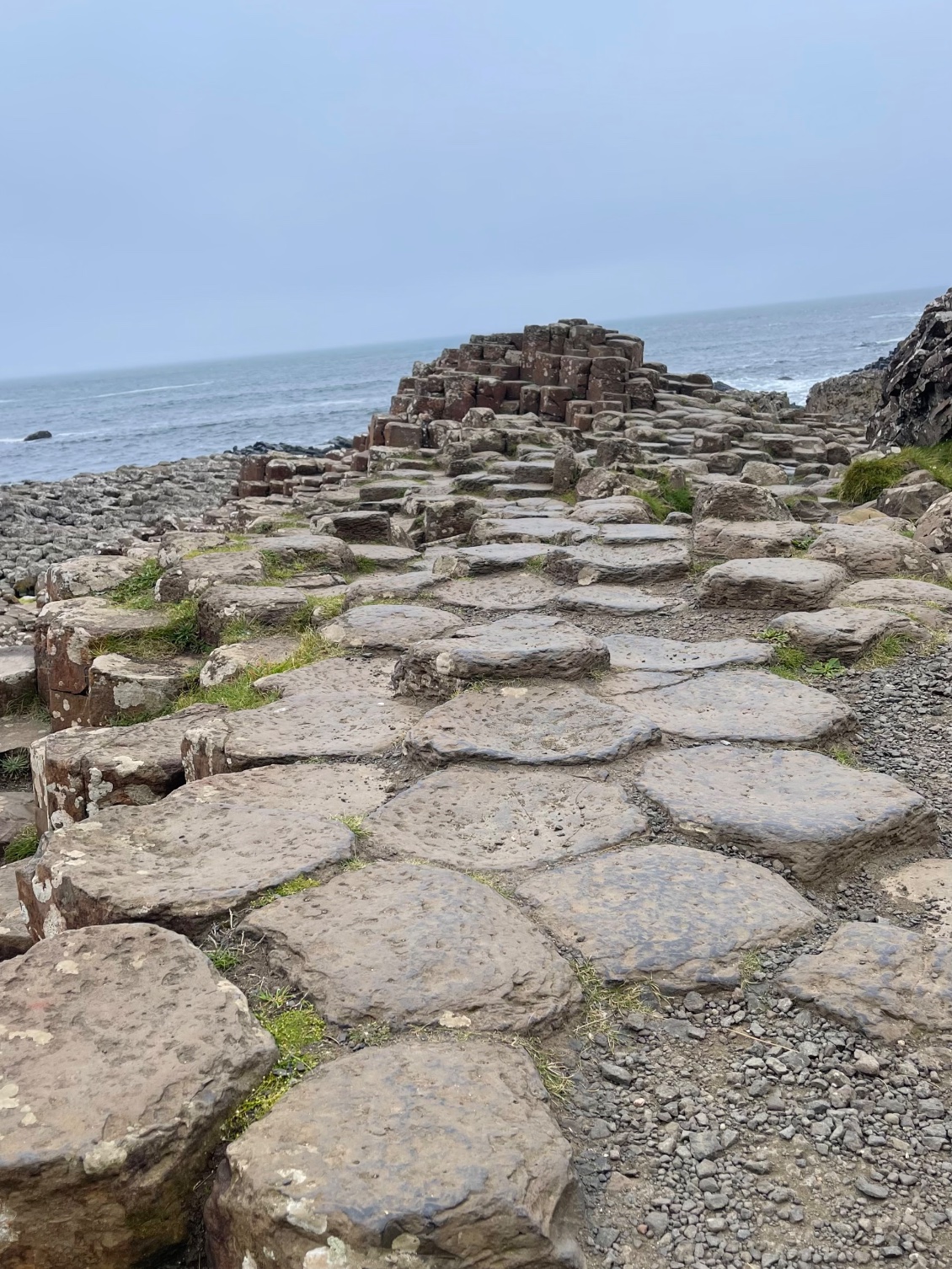 Section 8 : du 12 au 17 août