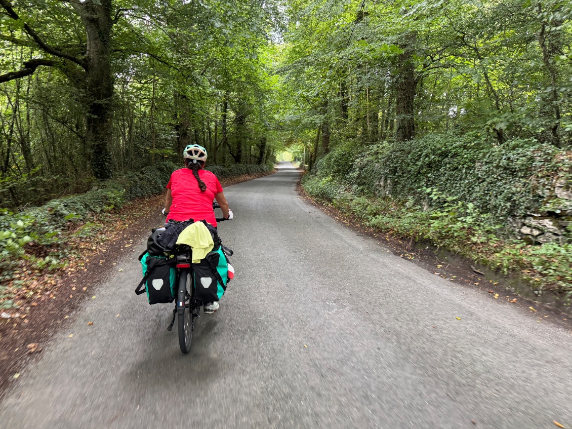 En entrant dans cette forêt, on a tout de suite pensé aux Lutins et Farfadets qui nous cachent nos affaires 