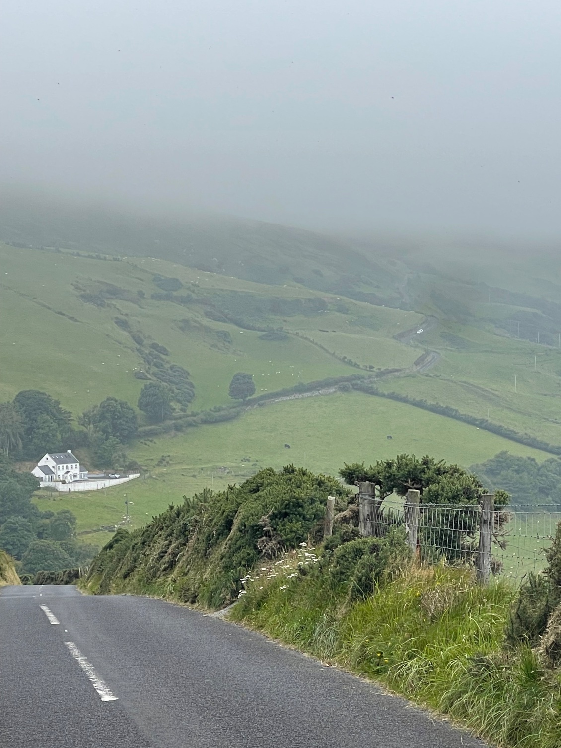 Section 8 : du 12 au 17 août