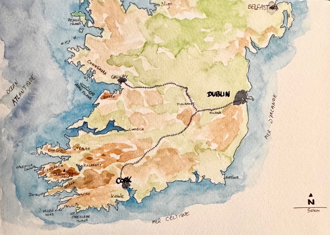 Un quart de trèfle irlandais
