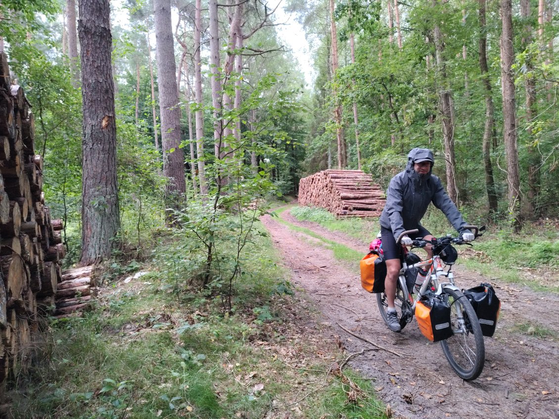 J15. Ambiance forestière. J'aime ce type de chemin.