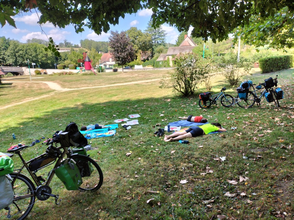 Petite pause repos sous un bel arbre car c'est la canicule