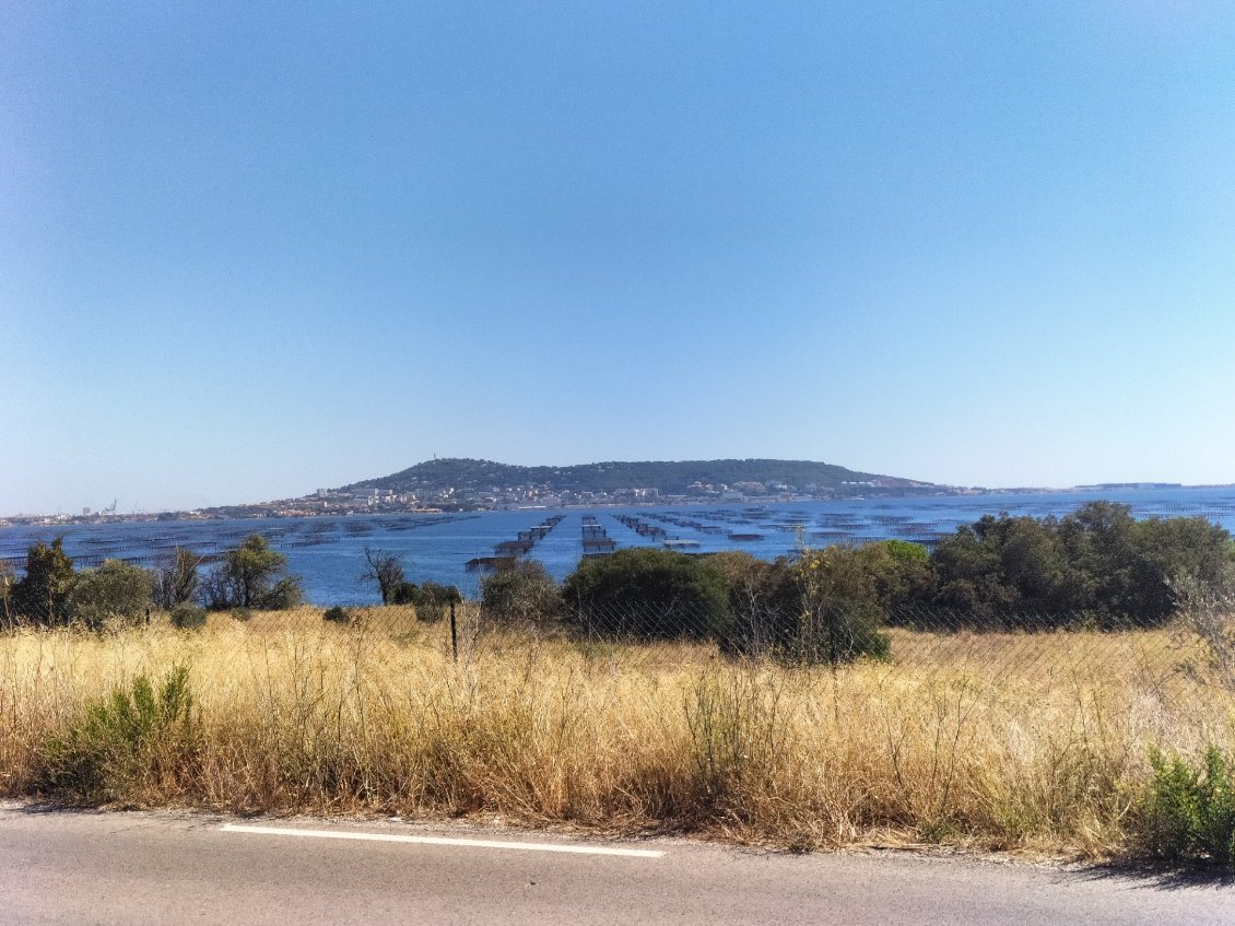 étang de Thau