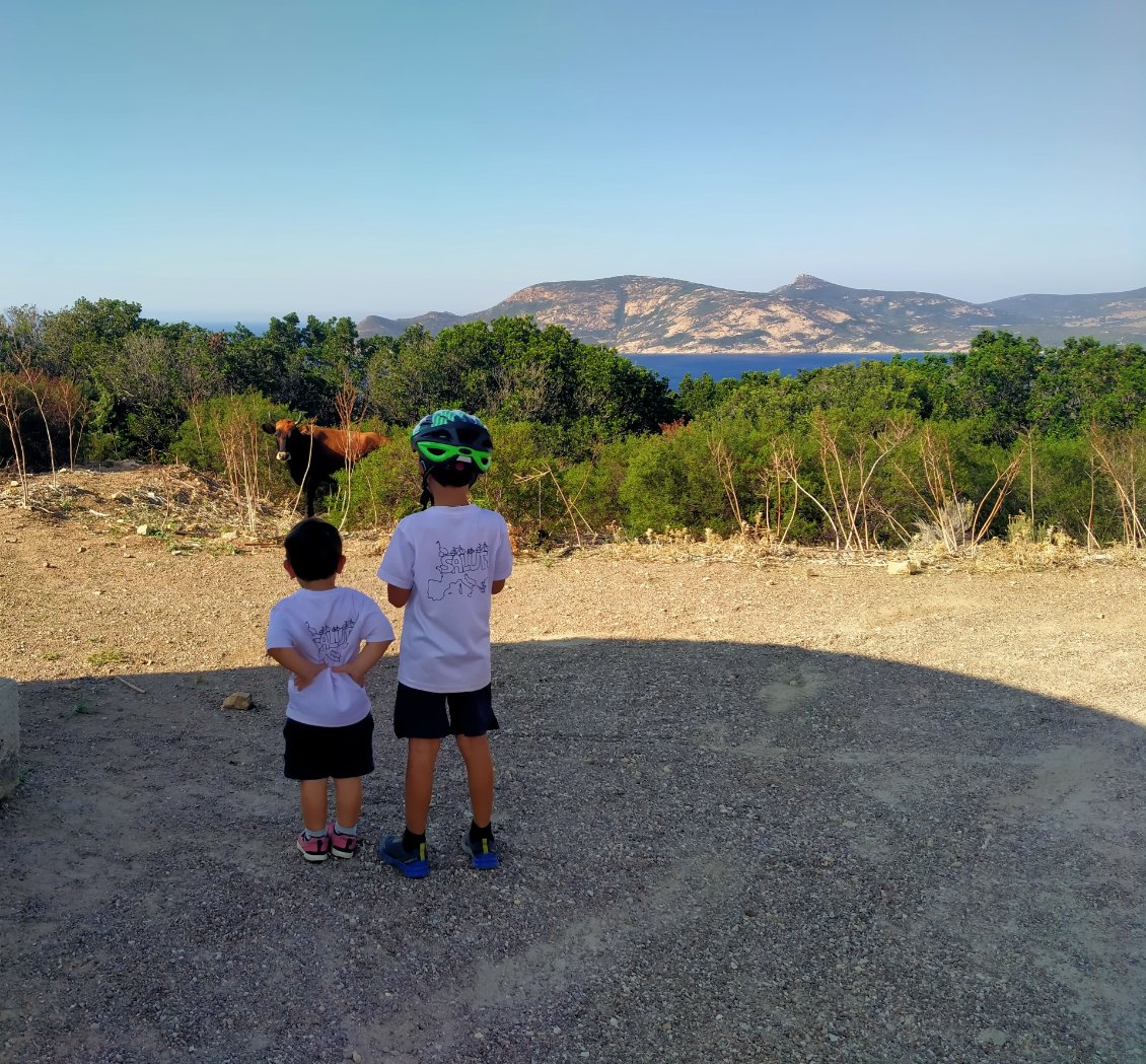 rencontre inopinée !