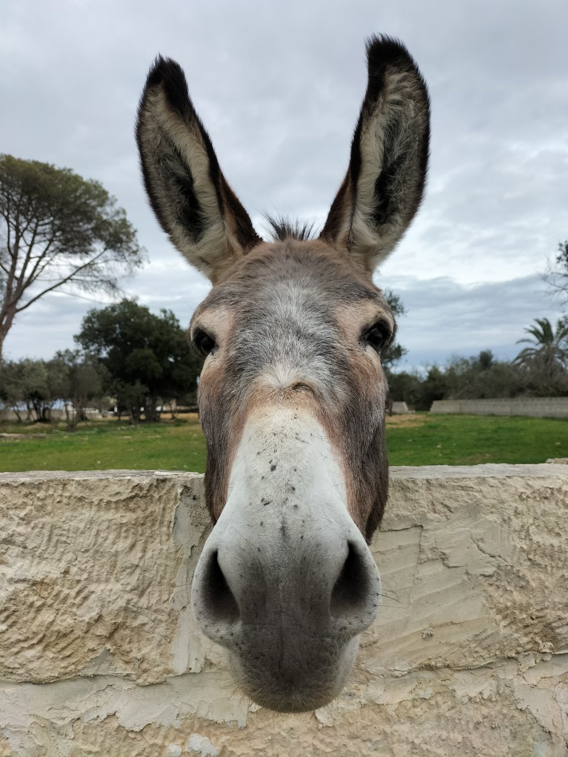 Salut !