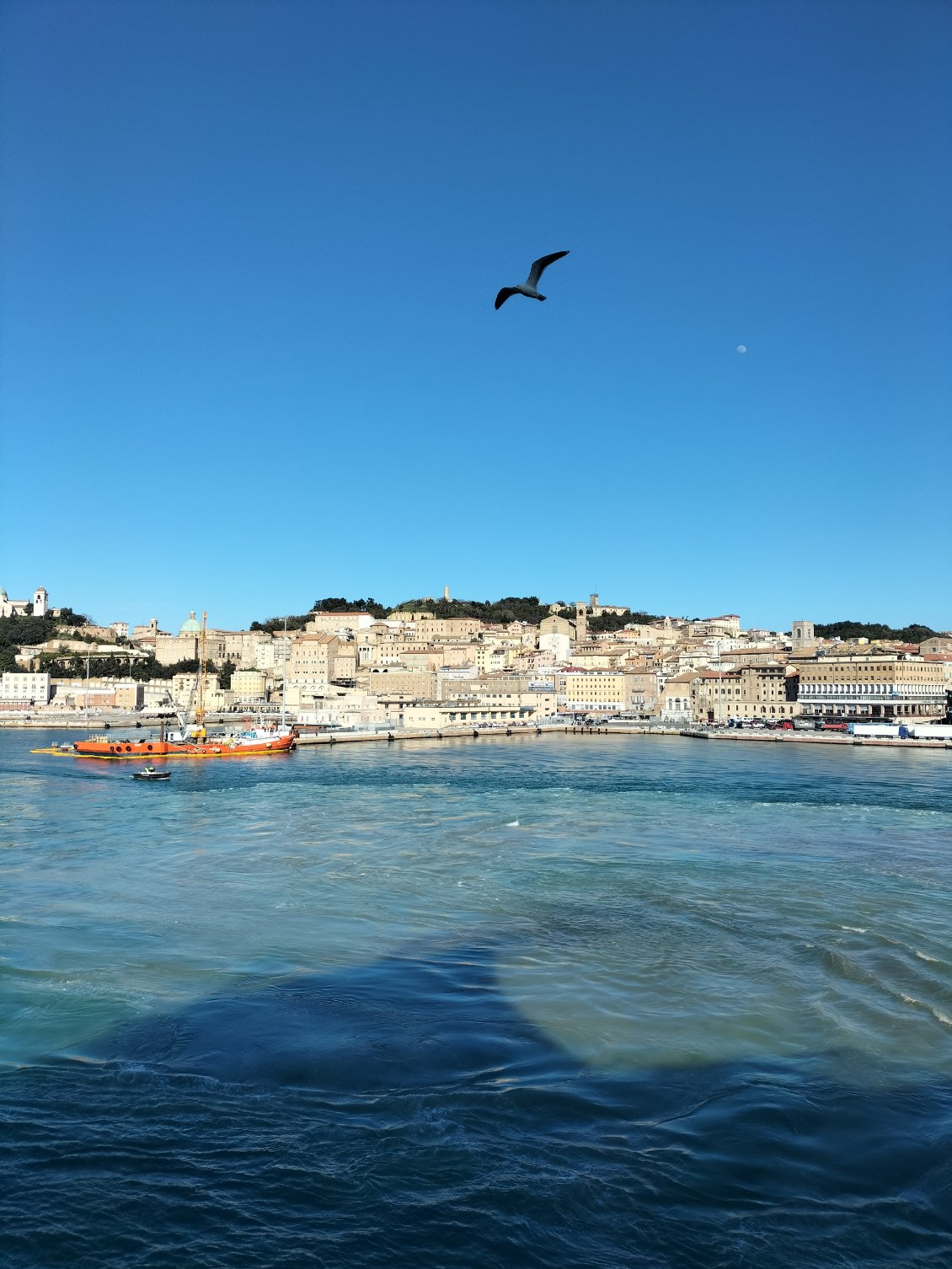Ancône