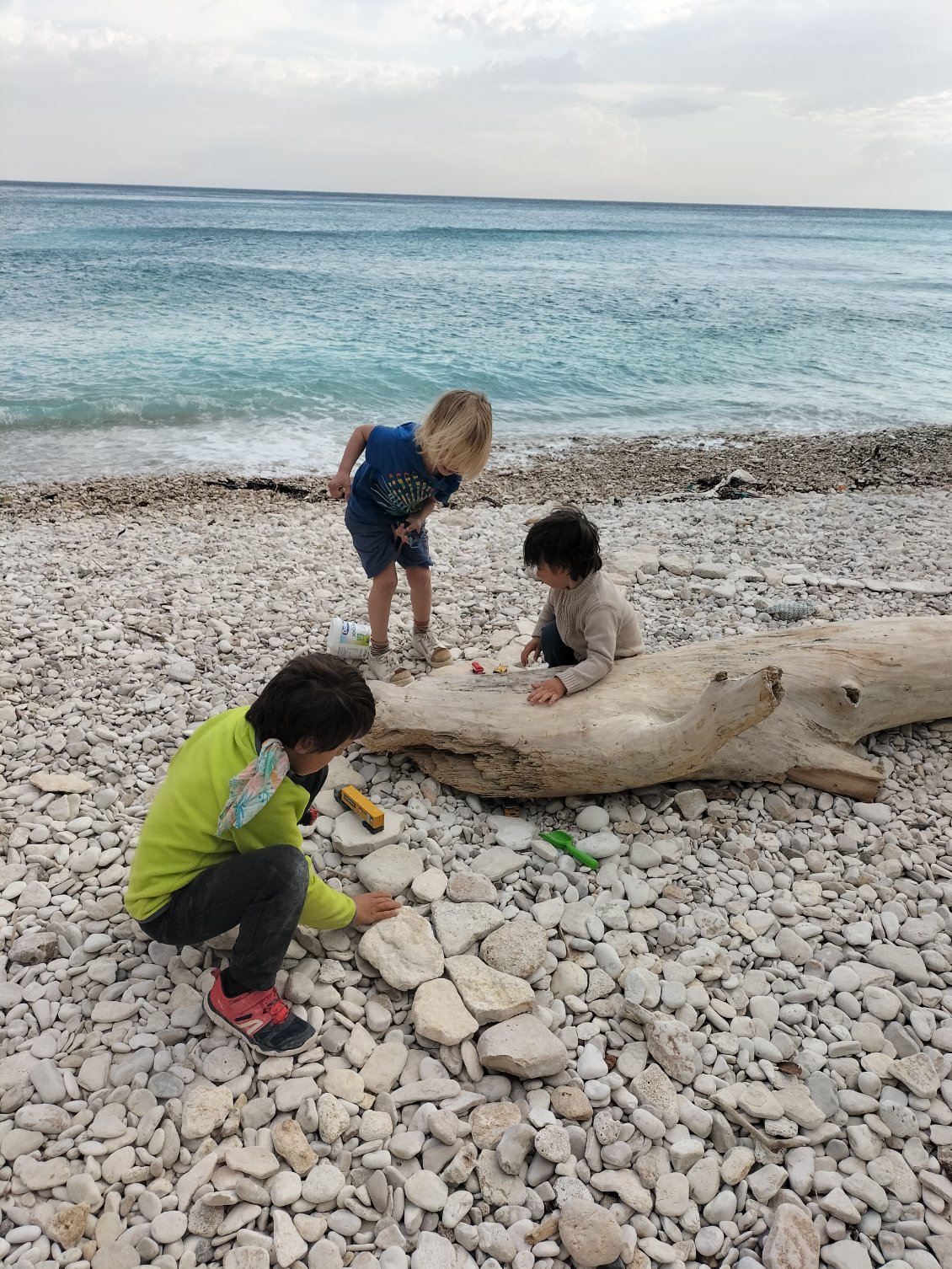 youpi, voici les copains !