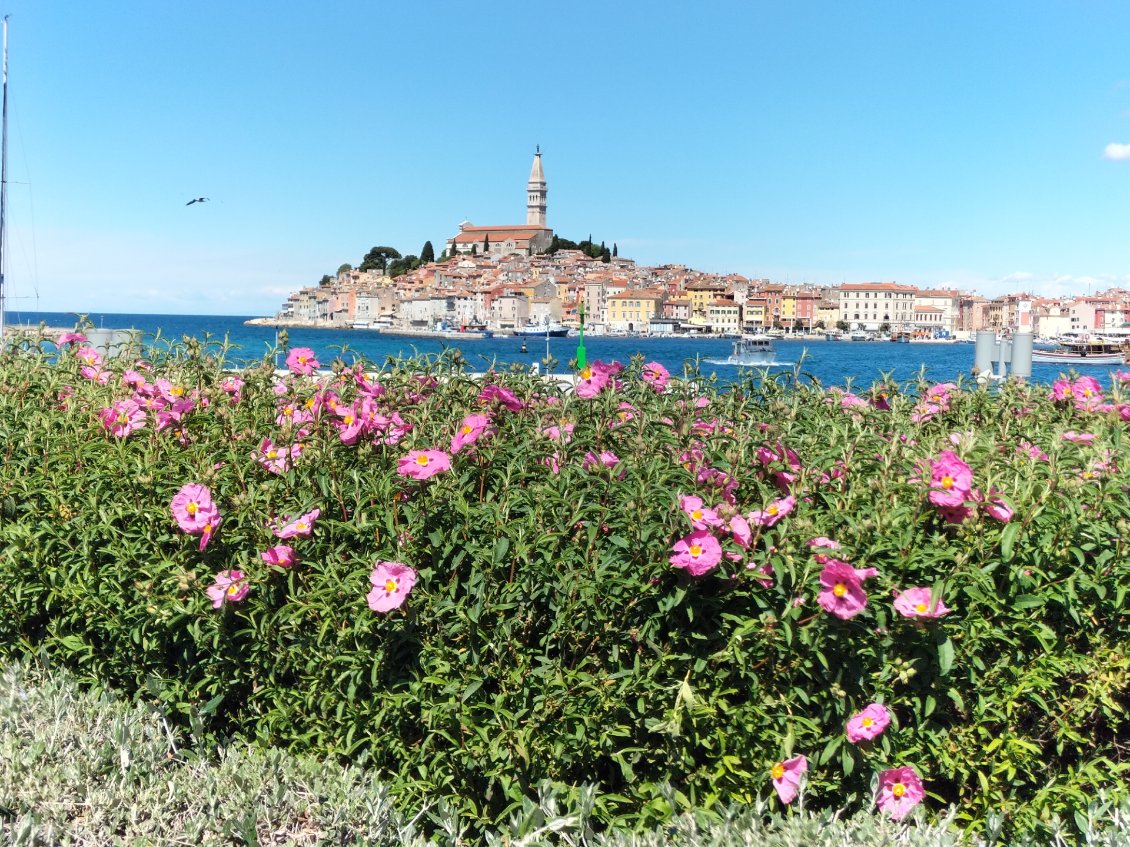 Rovinj