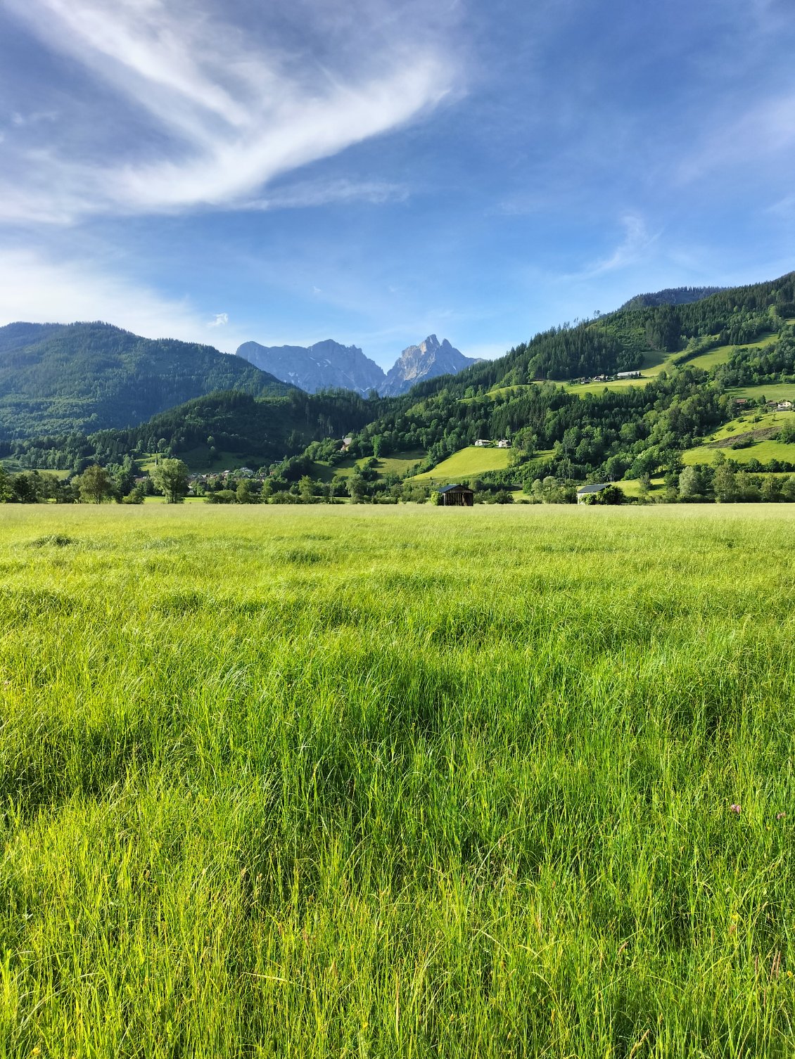 Tout est bien vert ici