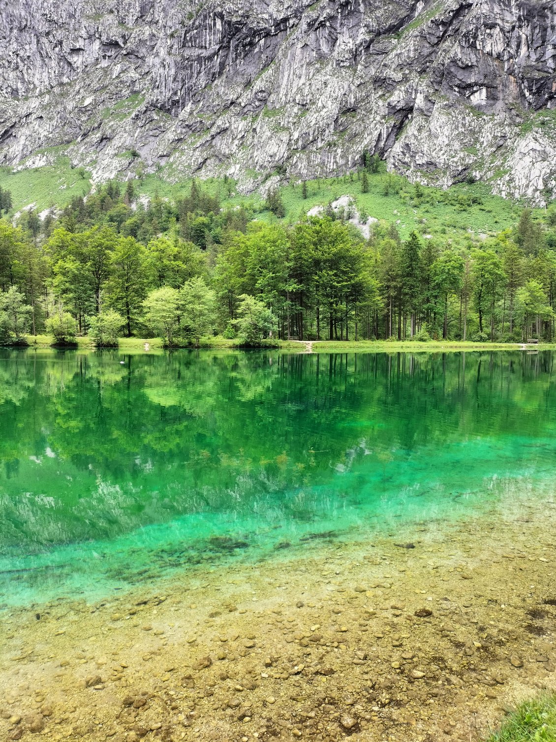 Même les lacs se mettent au vert