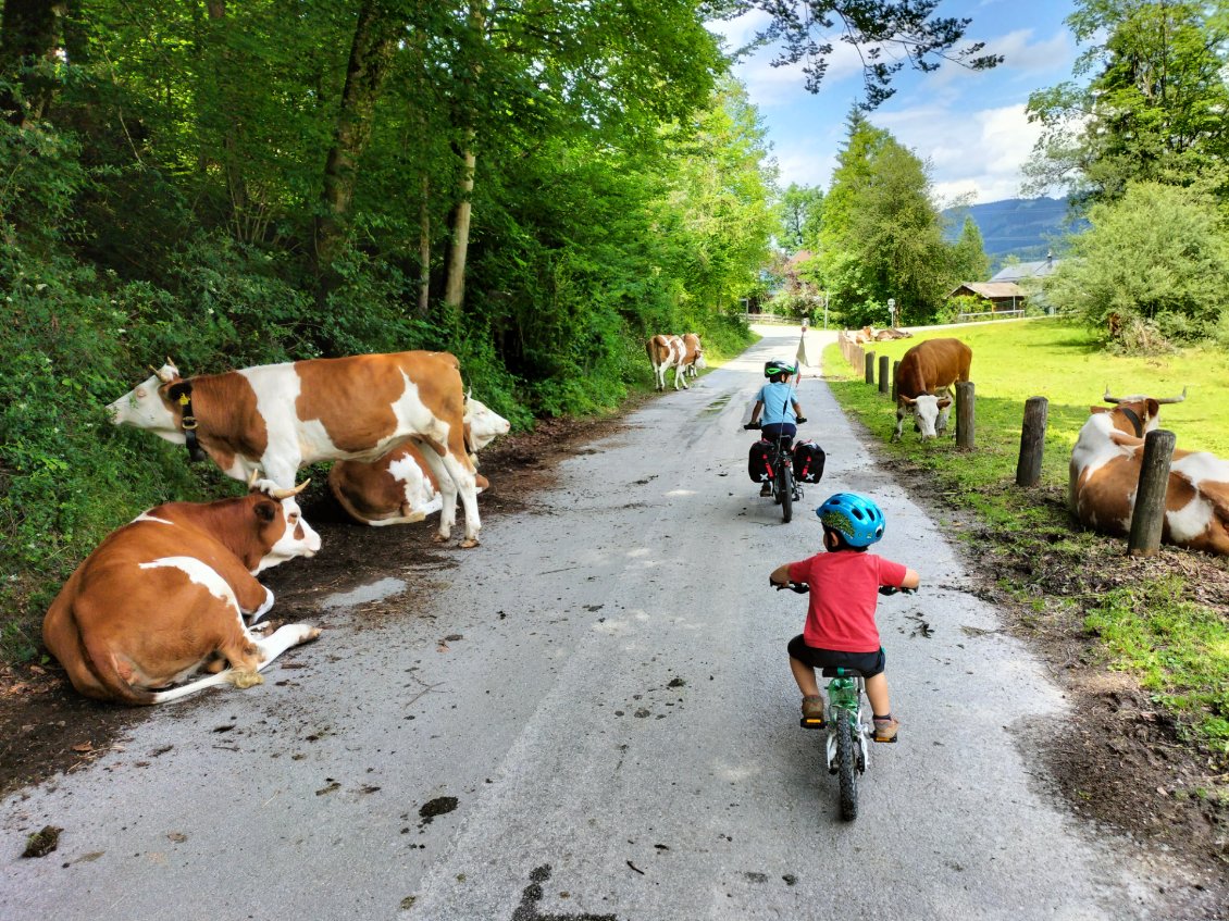 Laissez-nous passer!