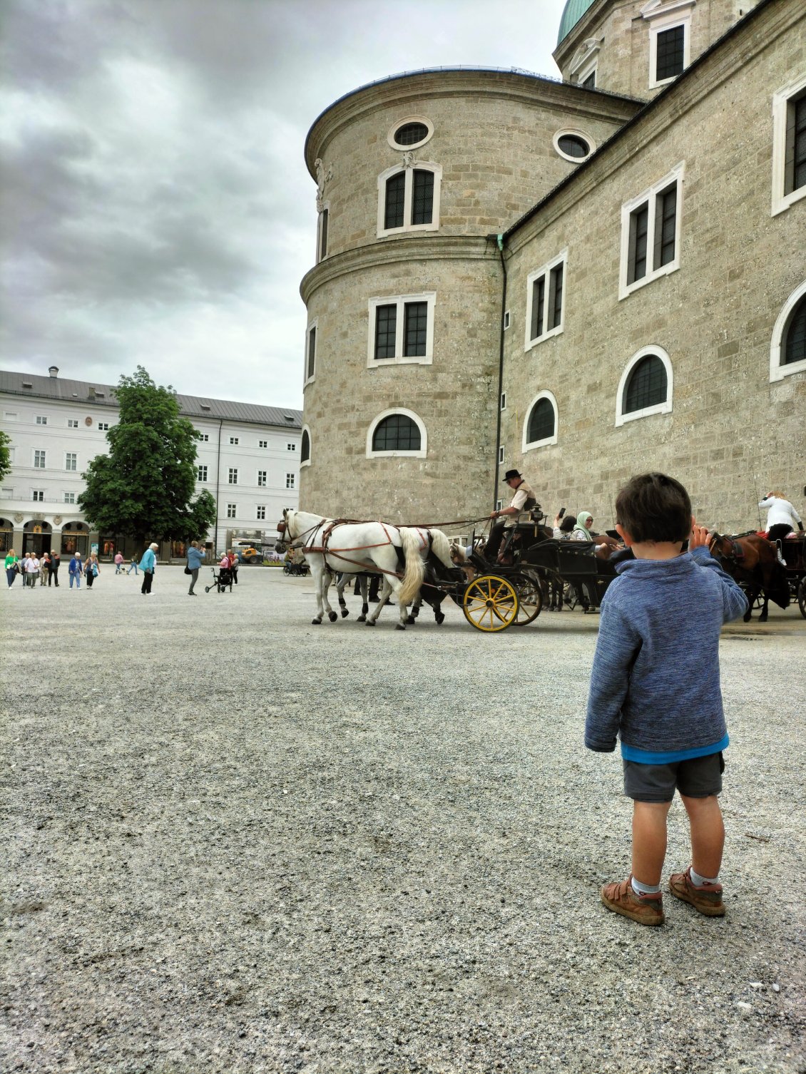 Wahou, des calèches à touristes