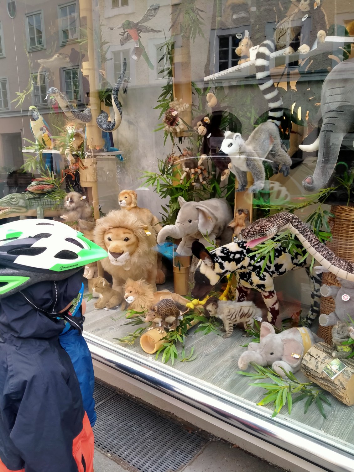 Lèche-vitrine