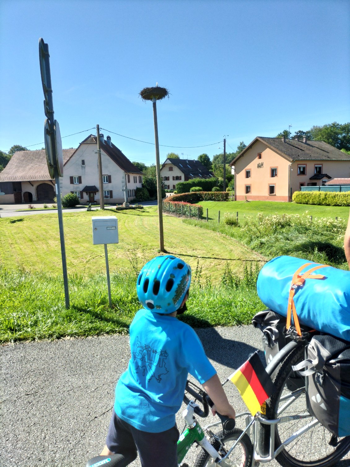 Est-ce qu'il y a une cigogne dans ce nid ?