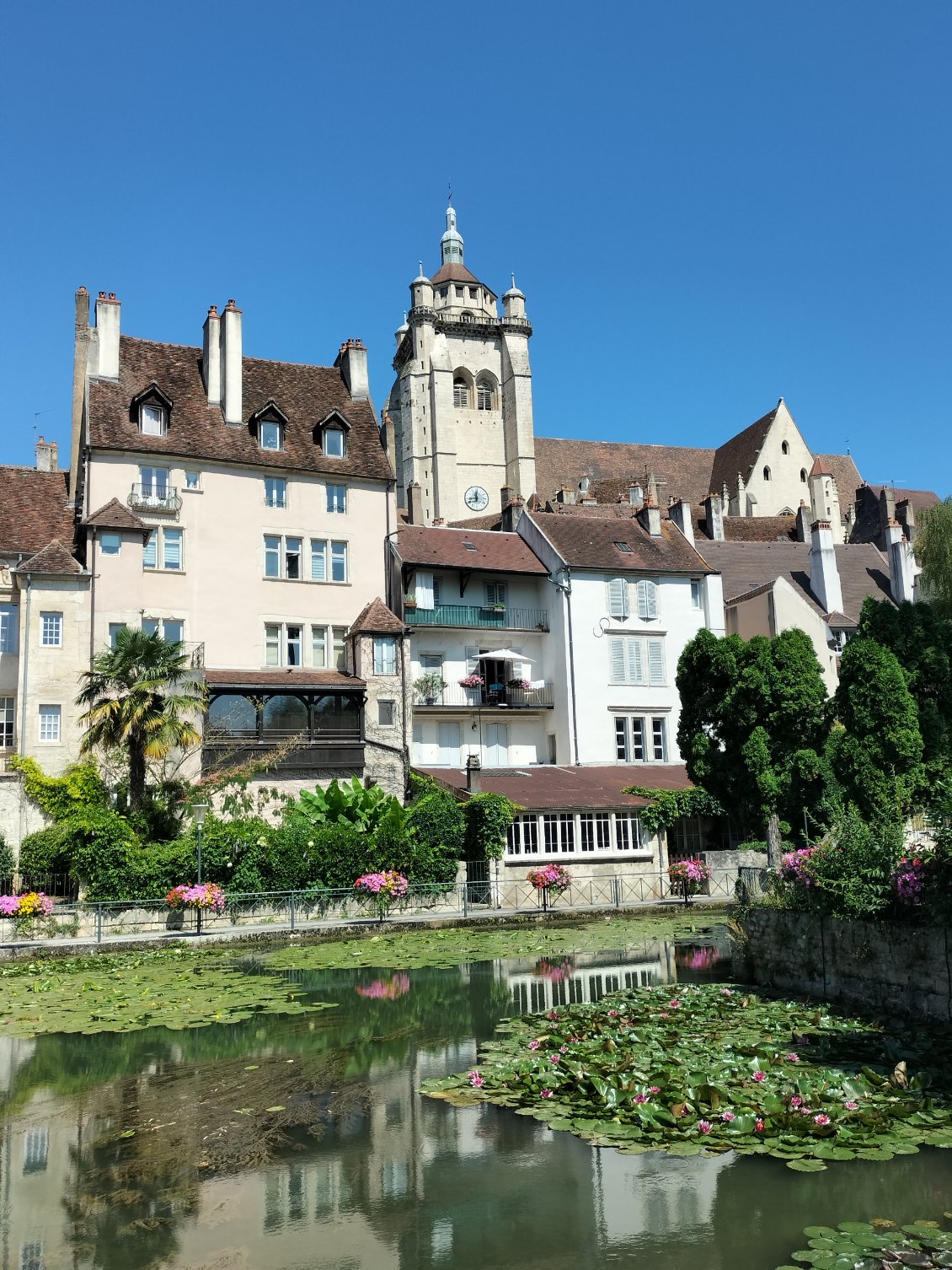 Dôle