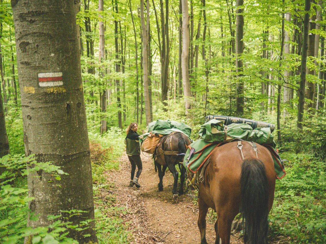À cheval.
De la Pologne au mont Blanc