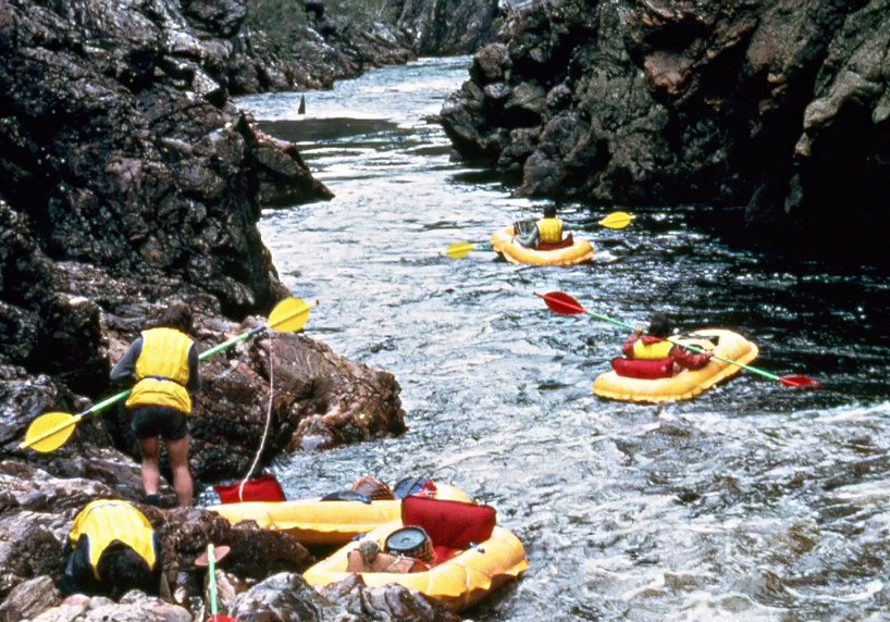Packrafts sur la rivière Franklin en Tasmanie . Les rafts adaptés à la topographie de la rivière. National Archives of Australia/National Museum of Australia.