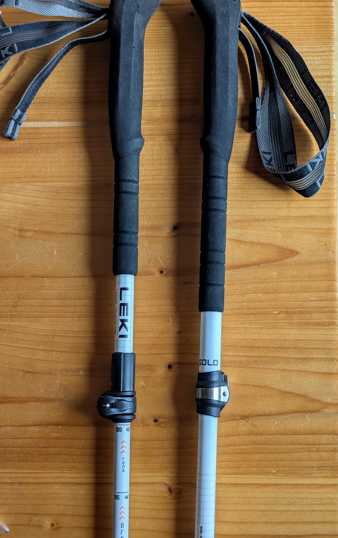 À gauche le Leki Skytera FX Carbon SL, à droite le Skysolo.