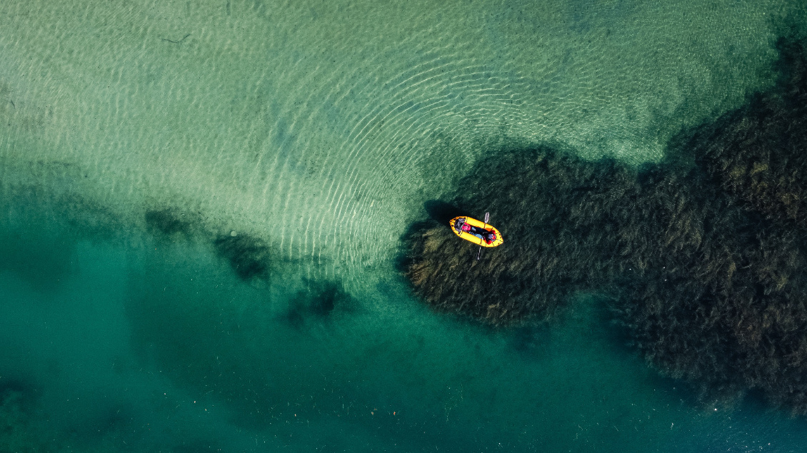 Profiter... Photo : Anthony Komarnicki