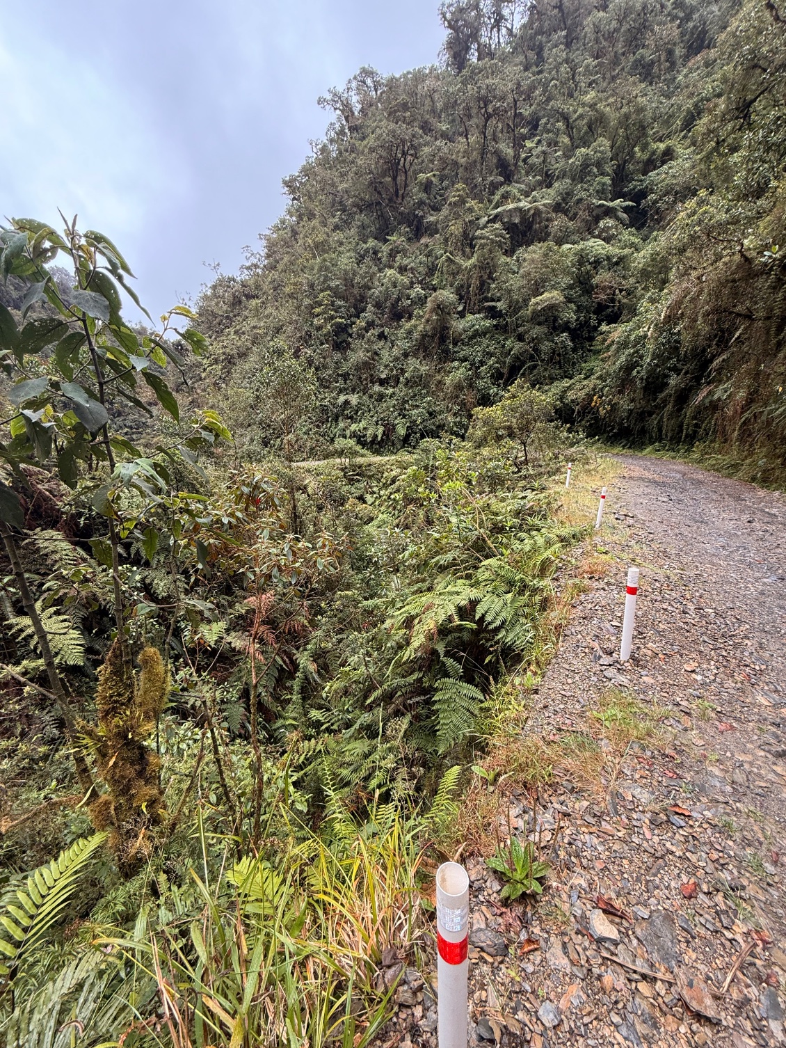 Le début de la piste bien dangereuse quand même 