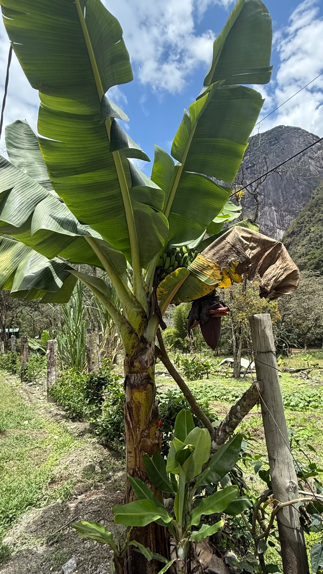 Et à nouveau 12 km de marche pour rejoindre le bus pour rentrer à Cuzco