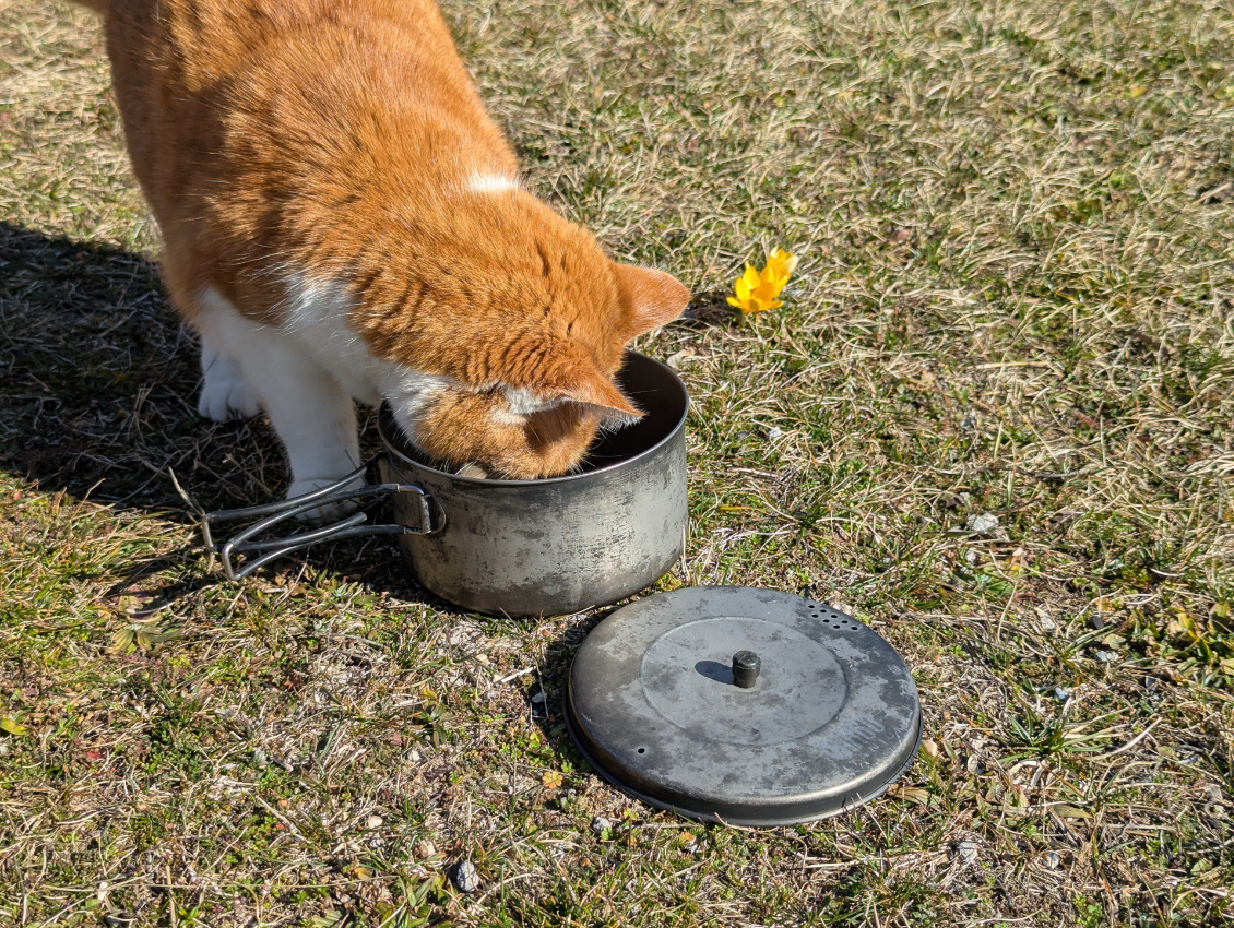 bon-appetit