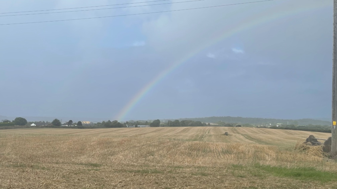 Section 11 : du 28 au 31 aout 