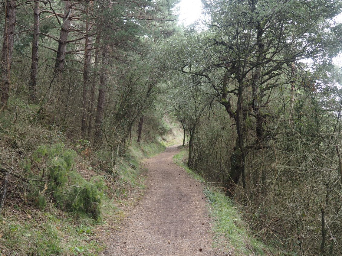 Les sentiers sont plaisants.