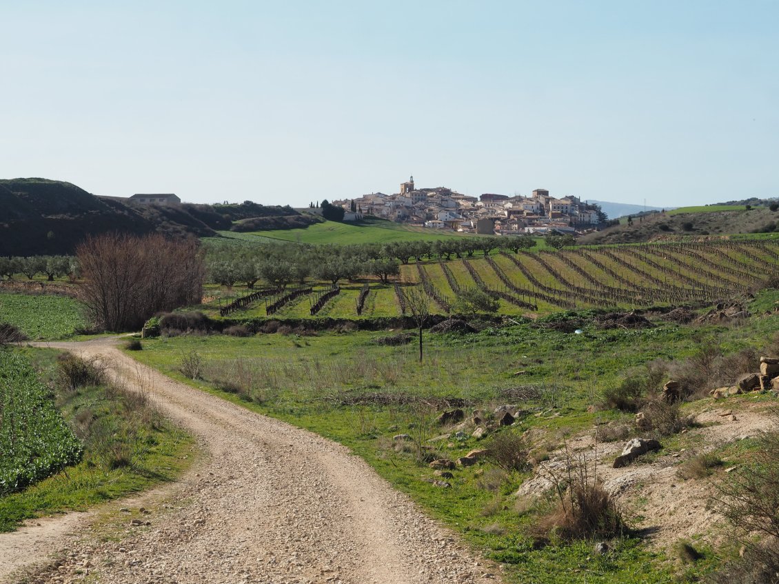 Le village de Mañeru se dessine au loin.