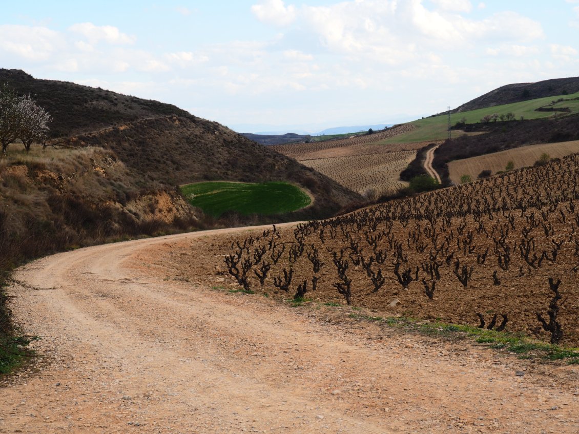 Les chemins serpentent à travers le paysage.
