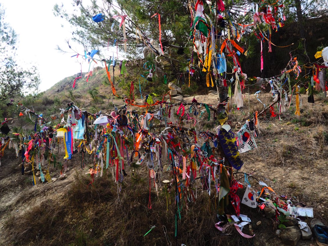 Pampelune → Logroño