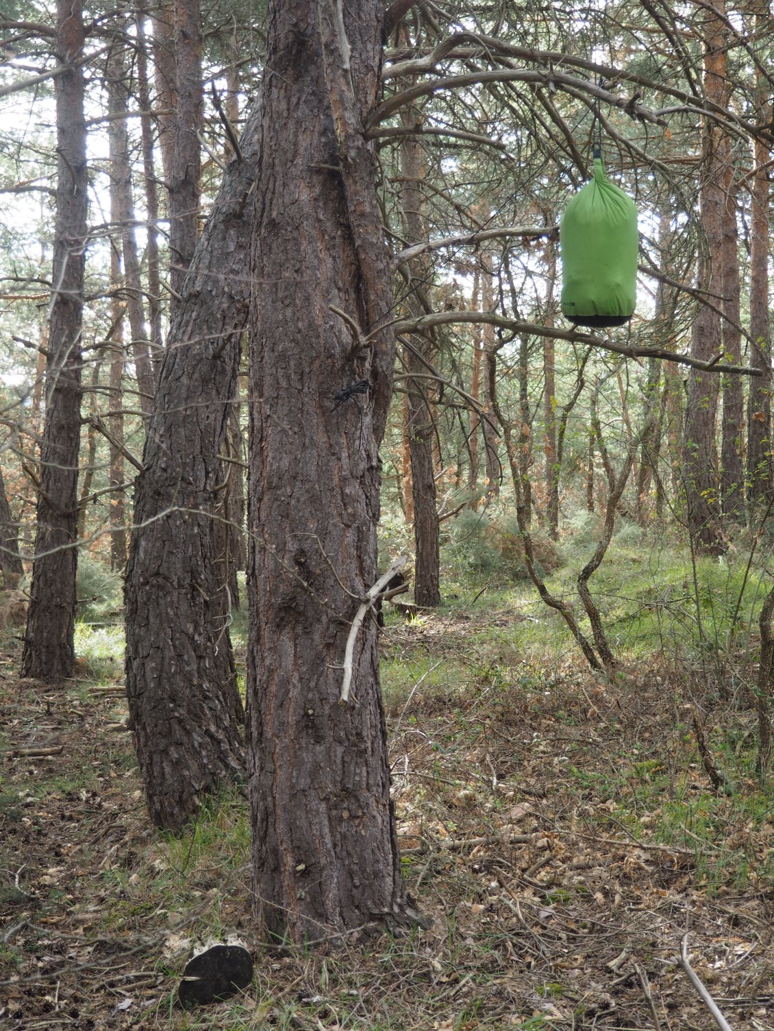Astuce bivouac : toujours suspendre la bouffe, on n’est jamais trop prudent.