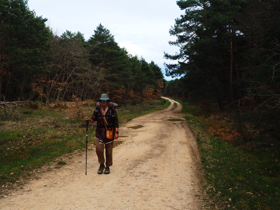 Le calme apparent cache un vent redoutable.