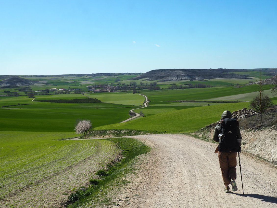 En contrebas à gauche, la pinède qui nous servira de bivouac.