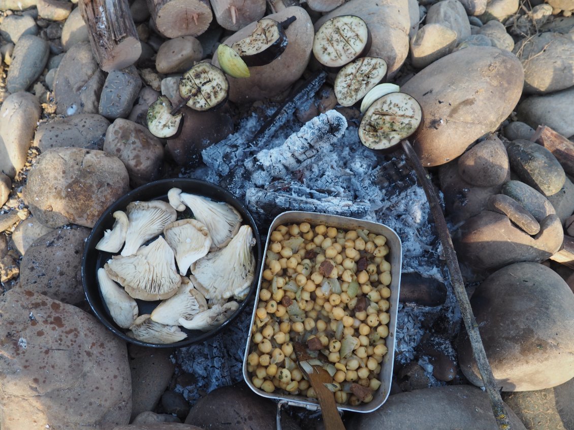 Repas végétarien savoureux : brochette d’aubergine, pleurotes grillés et pois chiches.