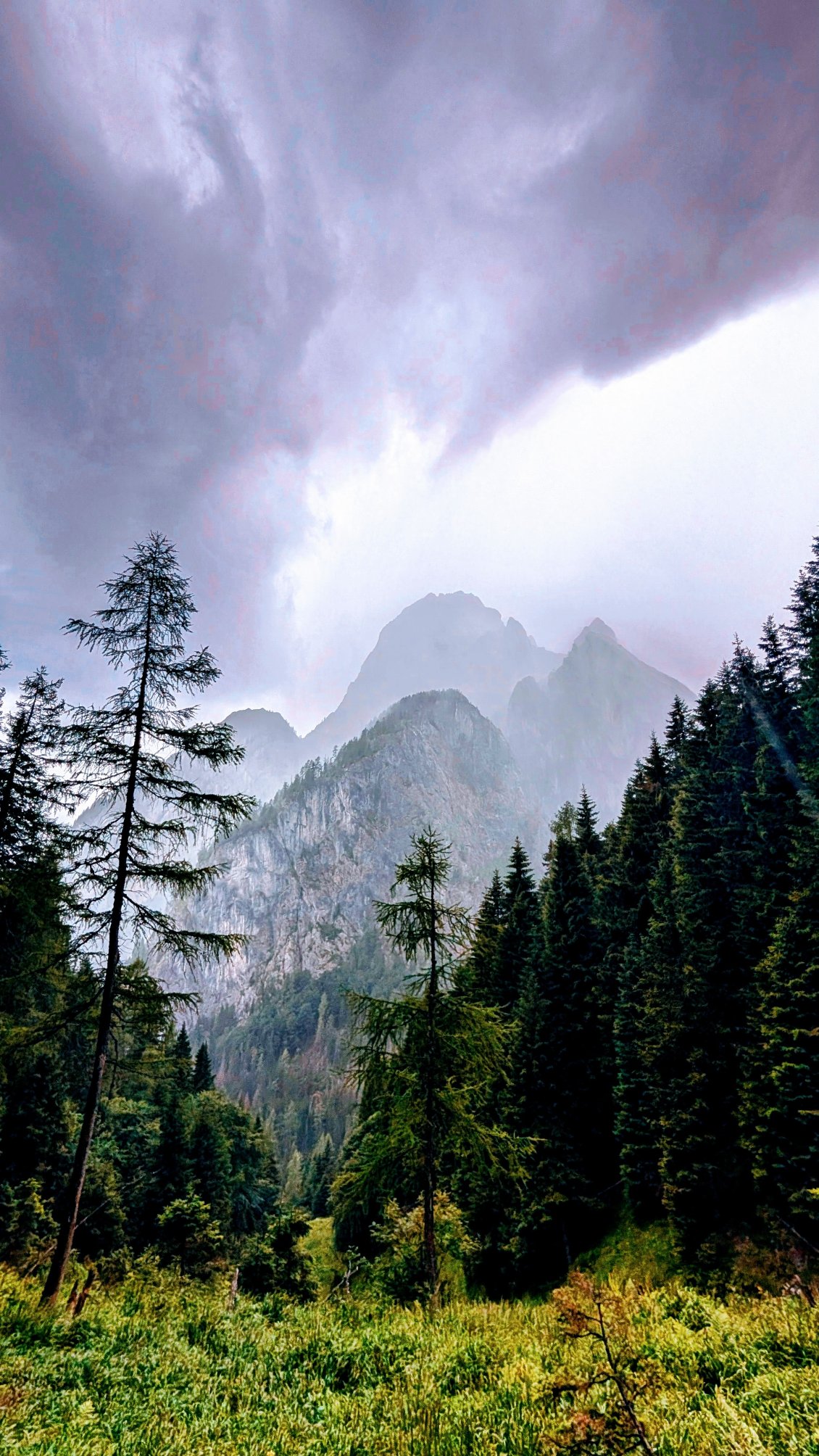 Vallée du Hochweissteinaus . Creta Verde 2520m . Italie