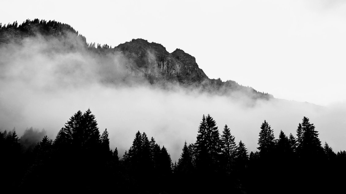 Forêt de Bichlbächle - en descendant à Berwang - Autriche