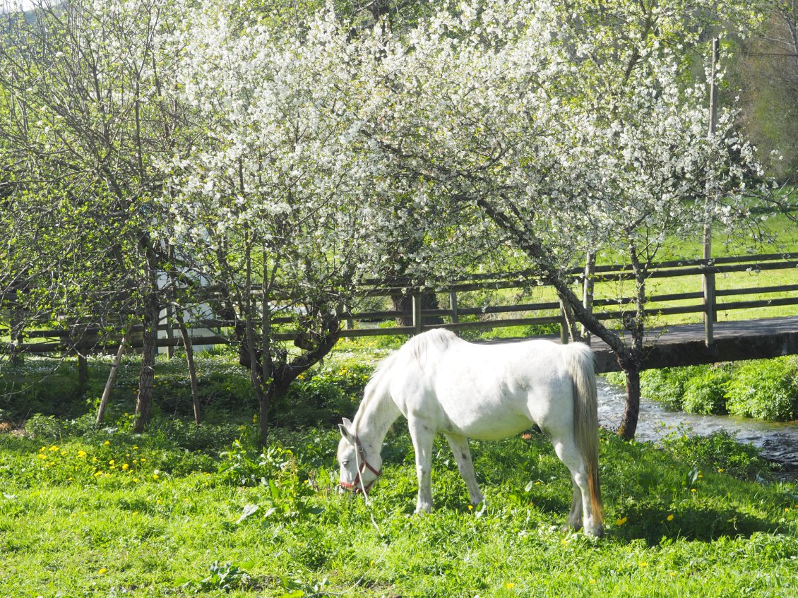 Ambiance féerique à Las Herrerías