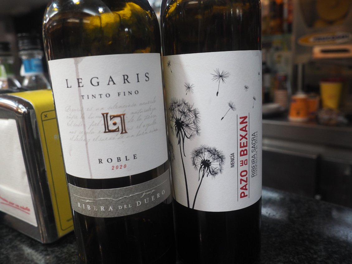 Ribeira Sacra (Galice) et Ribera del Duero (Castille-et-León), deux excellents vins espagnols.