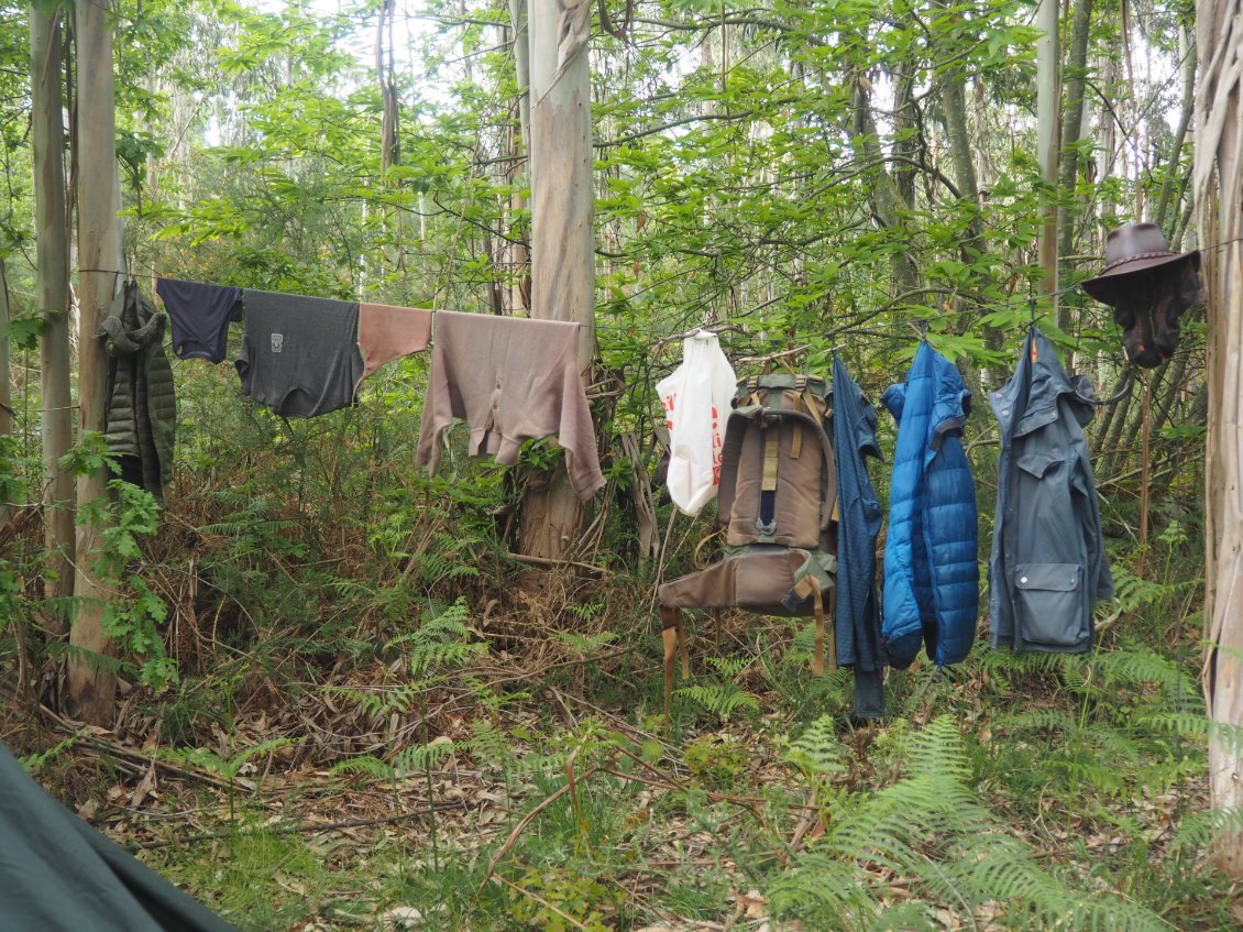 Vêtements au vent, la forêt en guise de salle de bain. La vie réduite à l’essentiel.