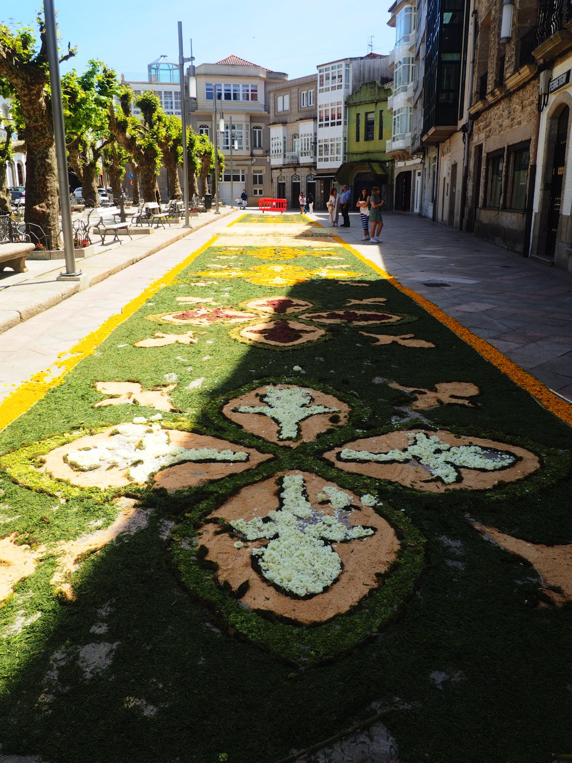 Fresques florales remarquables à Cee.